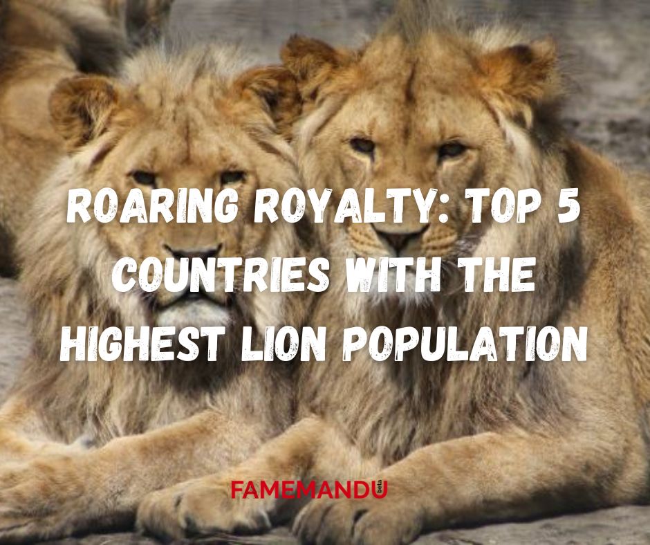 Roaring Royalty Top 5 Countries with the Highest Lion Population